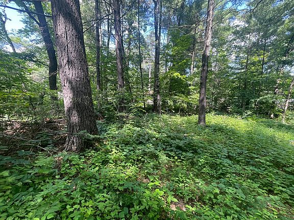 2nd image of Gumwood Ln