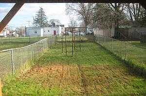 Rear Yard