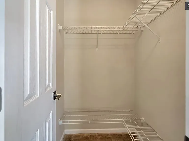 548 Scotch Pine Dr — Photo 23