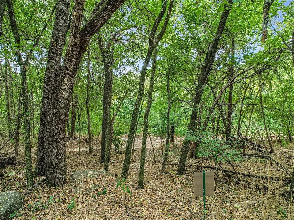 "you will find something more in the woods than in books. trees and stones will teach you that which you can never learn from masters" -saint Bernard
