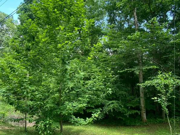 1275 E Lakeshore Dr, Burnside, KY 42519