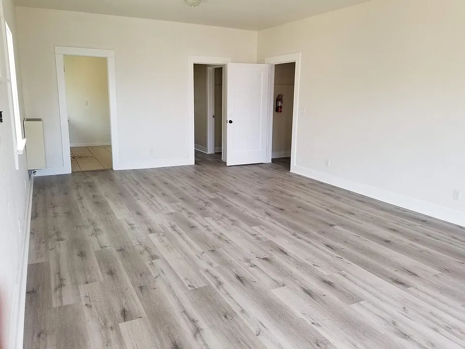 LARGE living room