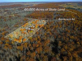 LOT 6 Breakneck Rd, Birchwood, WI 54817