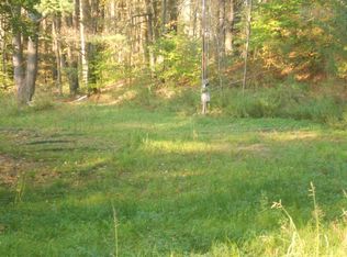 441 Prospect Valley Rd, Candor, NY 13743