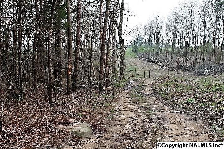 2nd image of 371 County Road 853