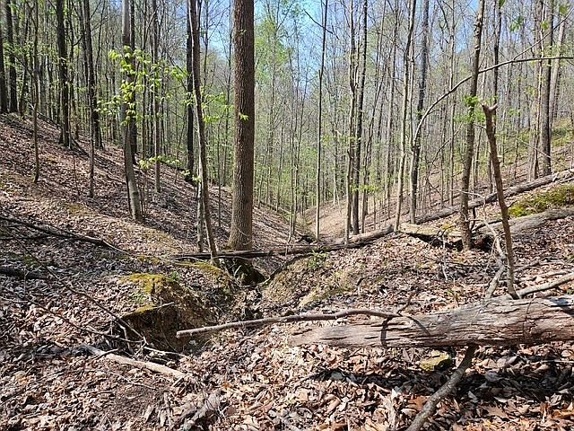 1st image of Benton Tidwell Rd