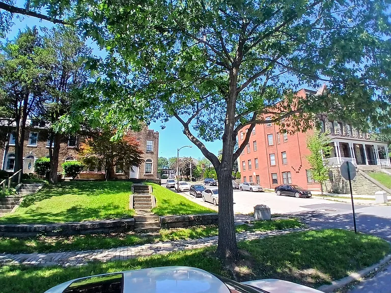 Mount Royal Ter — Photo 5
