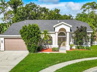 8237 Setters Point Dr, New Port Richey, FL 34653