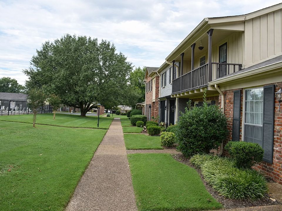 Front Yard and Swimming Pool