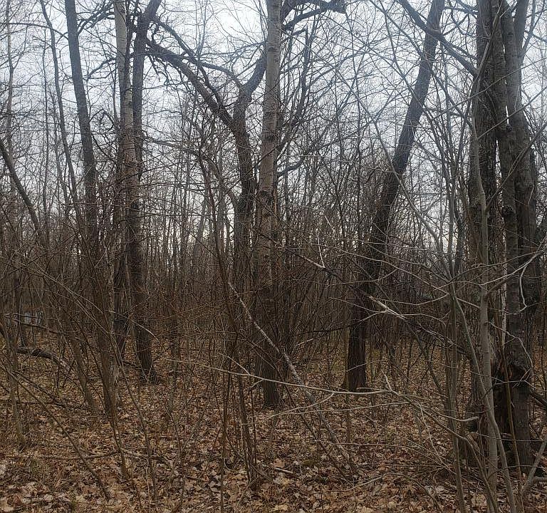 2nd image of Xxx High Drive Kathio Twp