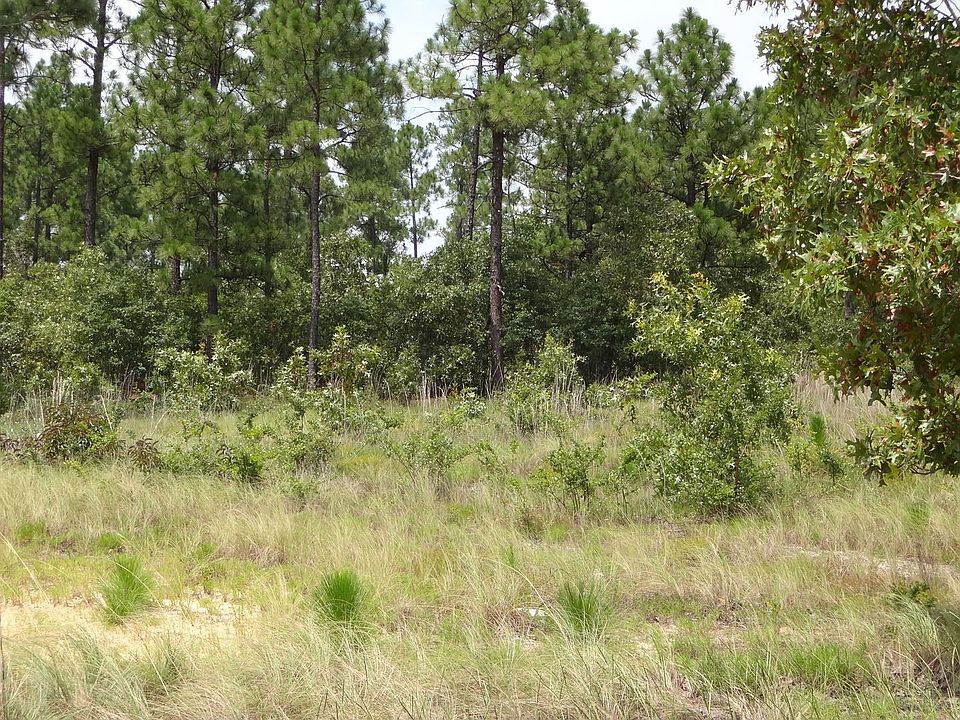 2nd image of 188 Sandy Oak Ln