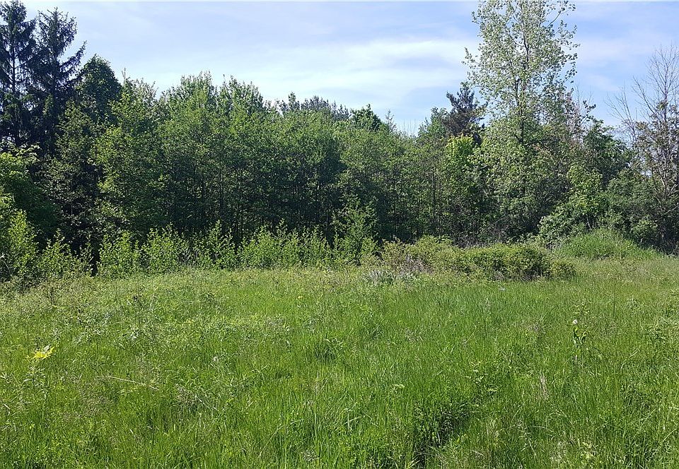 2nd image of Boston Rd