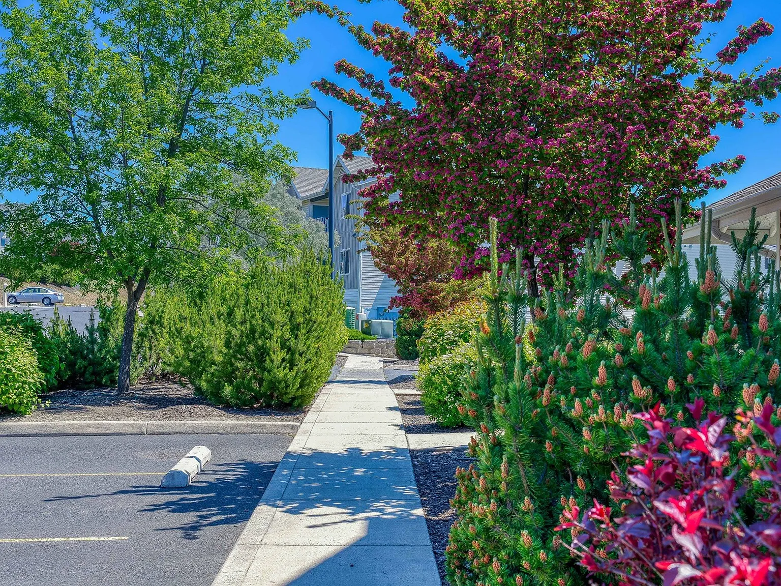Emerald Downs Apartments — Photo 4