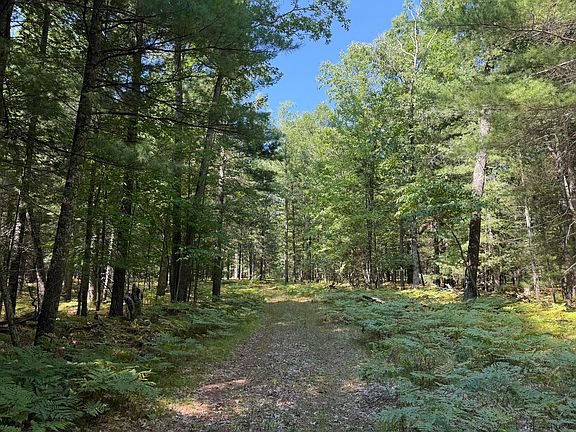5th image of 9372 W Seven Mile Rd