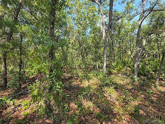 4th image of 2566 N Sheriff Dr