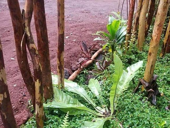 5th image of Lanai St Lot 606