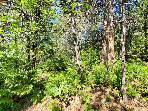 3rd image of 0 Birchwood Dr