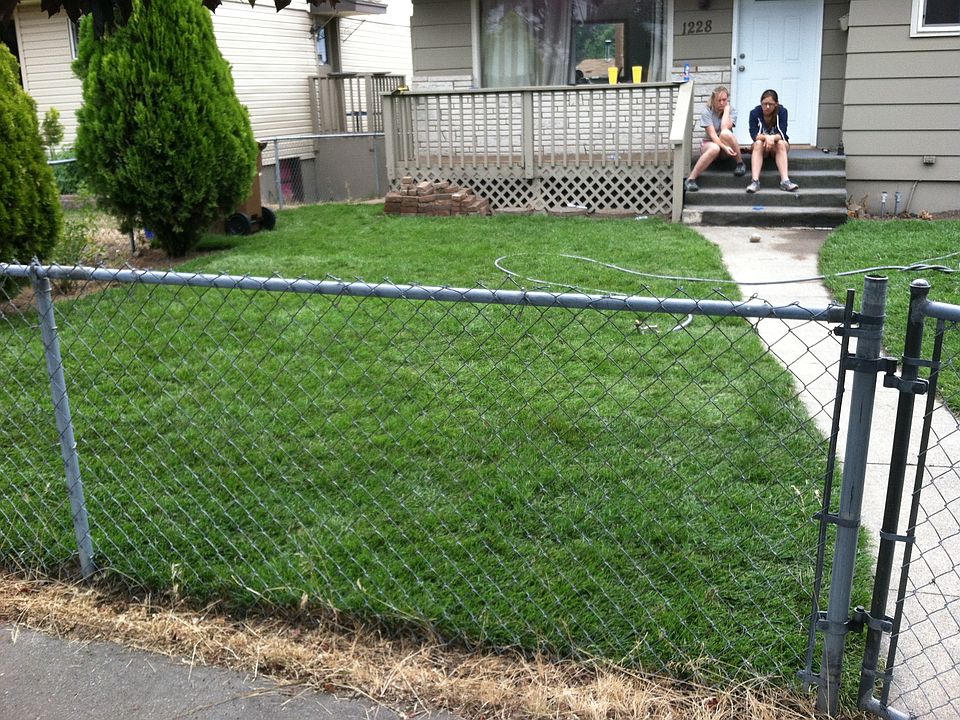 new yard