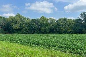 1st image of 720 County Road 1350 N