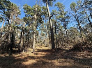 LOT 2 Private Road 8573, Winnsboro, TX 75494