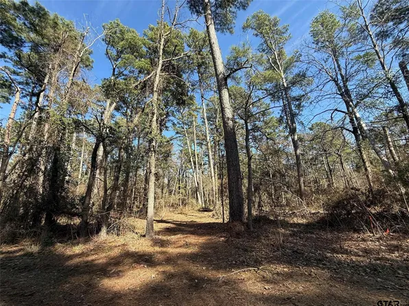 LOT 2 Private Road 8573, Winnsboro, TX 75494