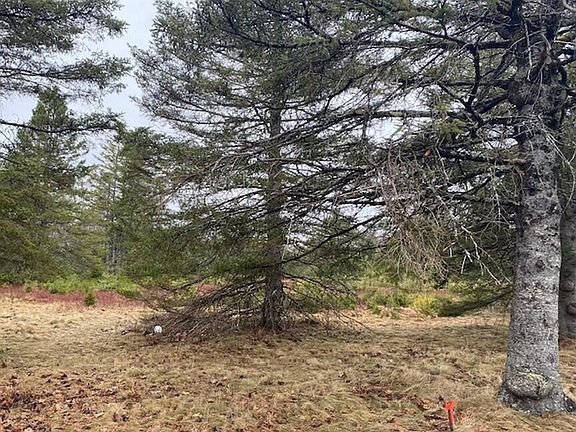 2nd image of Lot 5 Copeland Hill Road