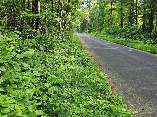 Lots 13-20, 23-28 Woodland Avenue, Hayward, WI 54843