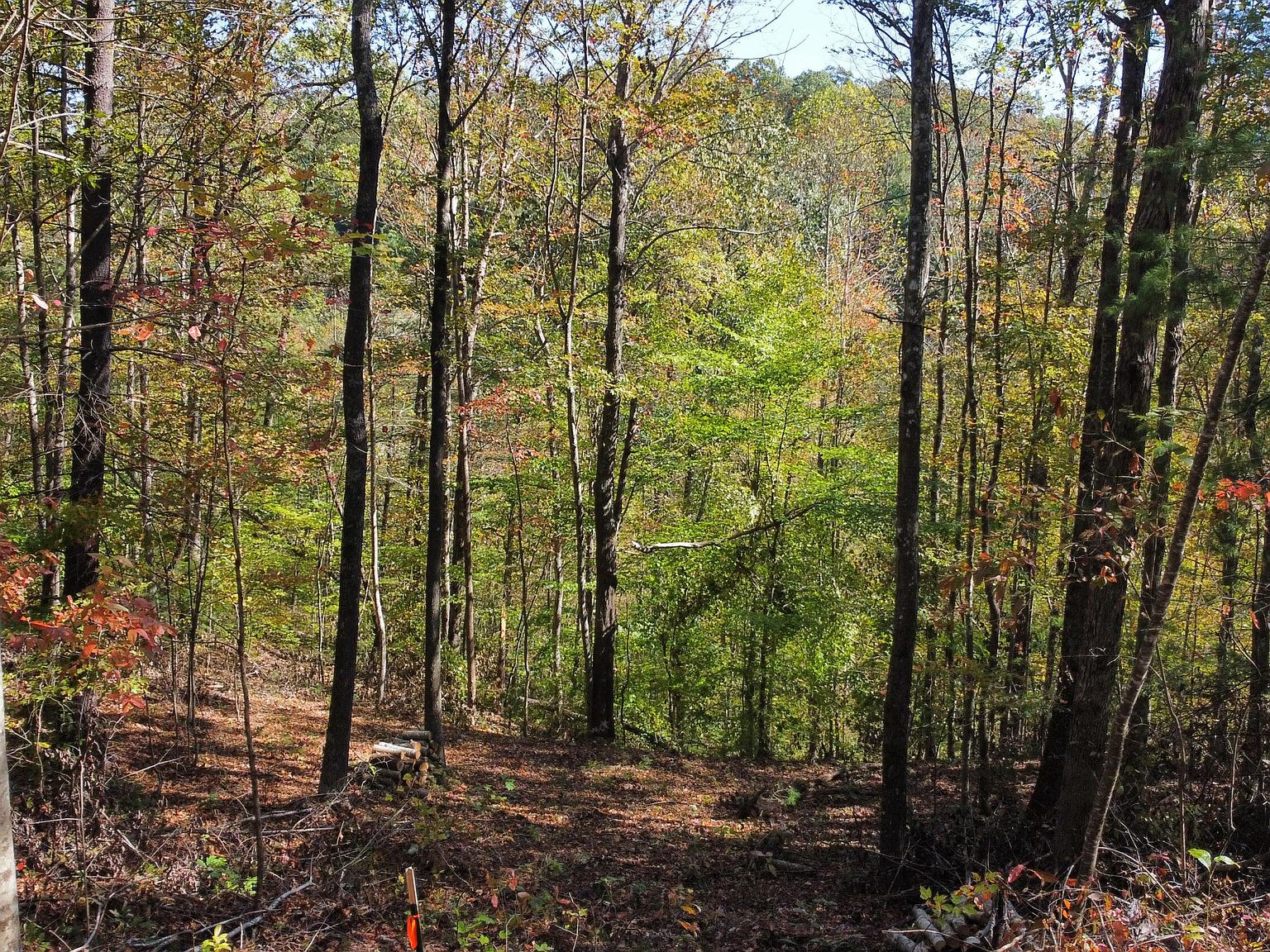 51 The Reserve At Cliffview, Zoe, KY 41397 MLS 24022080 Zillow