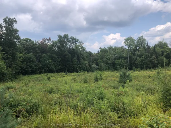 522 Albert St N, Strong, ON P0A 1Z0