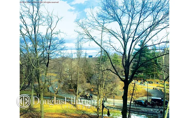 Sold by Douglas Elliman | media 8