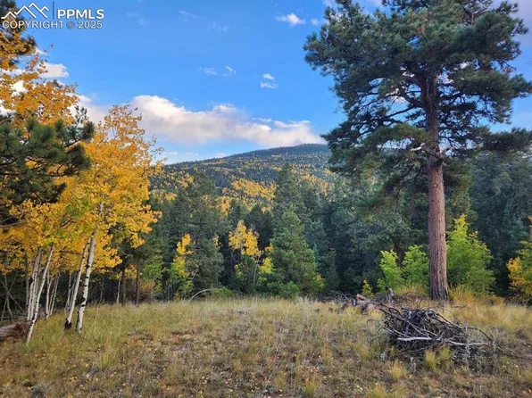 2642 Yorktown Rd, Cripple Creek, CO 80813