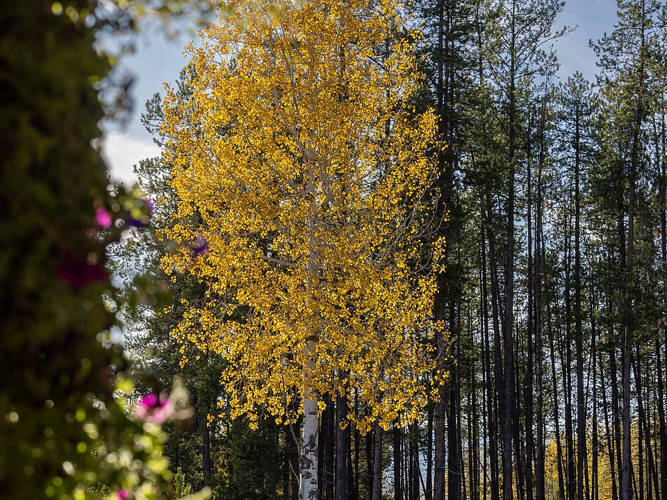 118th image of this home