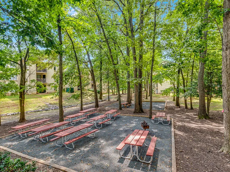 BBQ and Picnic Area