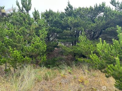 1002 311th Street, Ocean Park, WA, 98640
