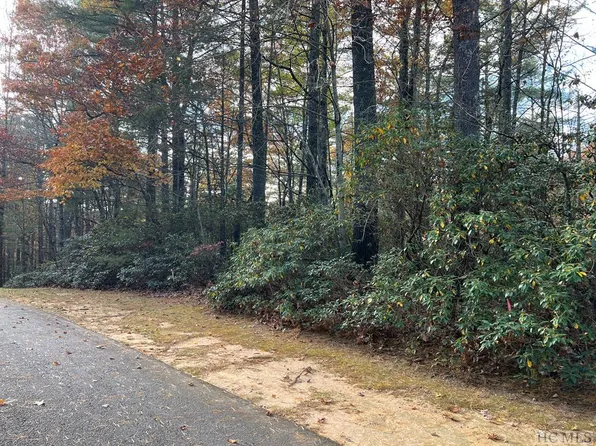 lot 71 Big Pine Road, Sapphire, NC 28774