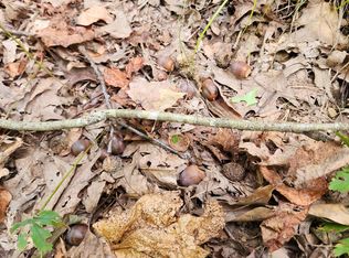 7 Highway, Jasper, AR 72641