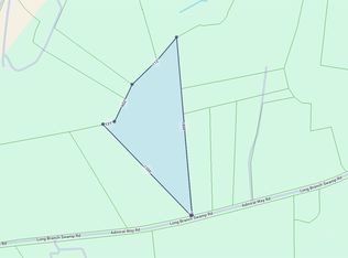 TBD (Tract 1) Long Branch Swamp Rd. #Tract 1, Green Sea, SC 29545