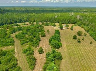 81363 George Sanner Rd, Village Mills, TX 77663