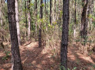 0 Purvis Blvd, Corrigan, TX 75939