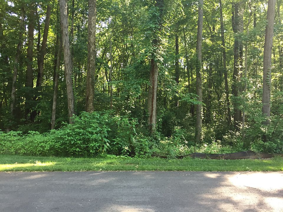 Wooded lot on left