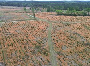 6 Beulah Rd Tract 6, Sylvania, GA 30467