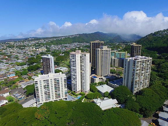 Sakura is the bottom left