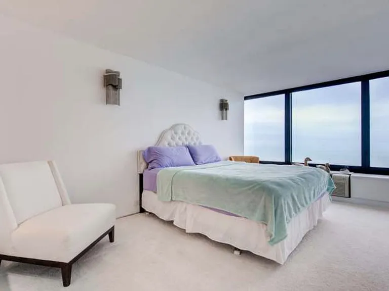 155 N Harbor Dr #4413 — Photo 16