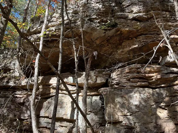 0 Dump Mountain Rd #0, Mountain View, AR 72560