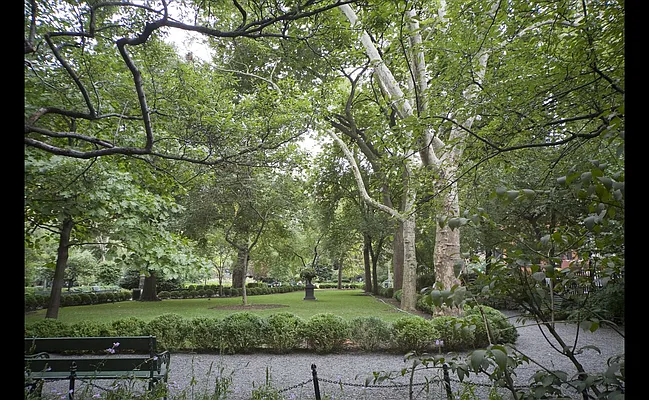 Sold by Douglas Elliman | media 7