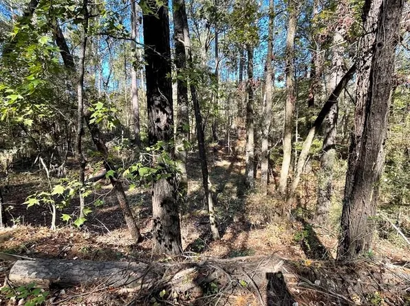 6032866 River Oaks Dr, Hemphill, TX 75948