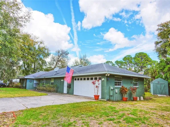 9795 NE 303rd Ave, Salt Springs, FL 32134