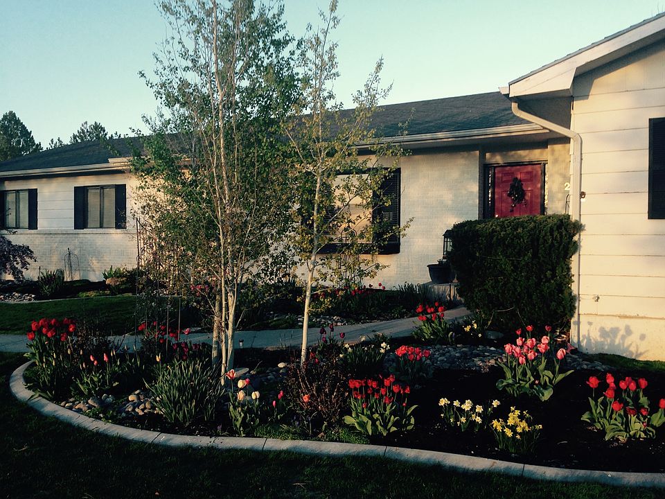 Flowers in Bloom in Spring