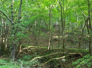 Bethel Rd, Paw paw, WV 25434