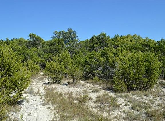 4th image of 19400 Apple Springs Dr